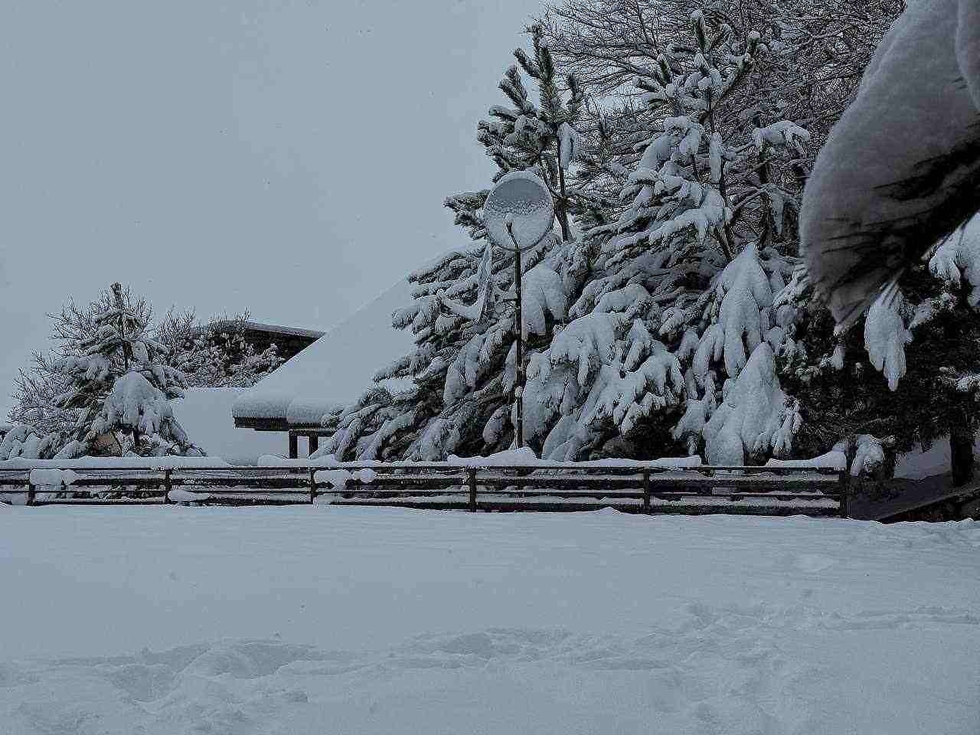 Территория 17