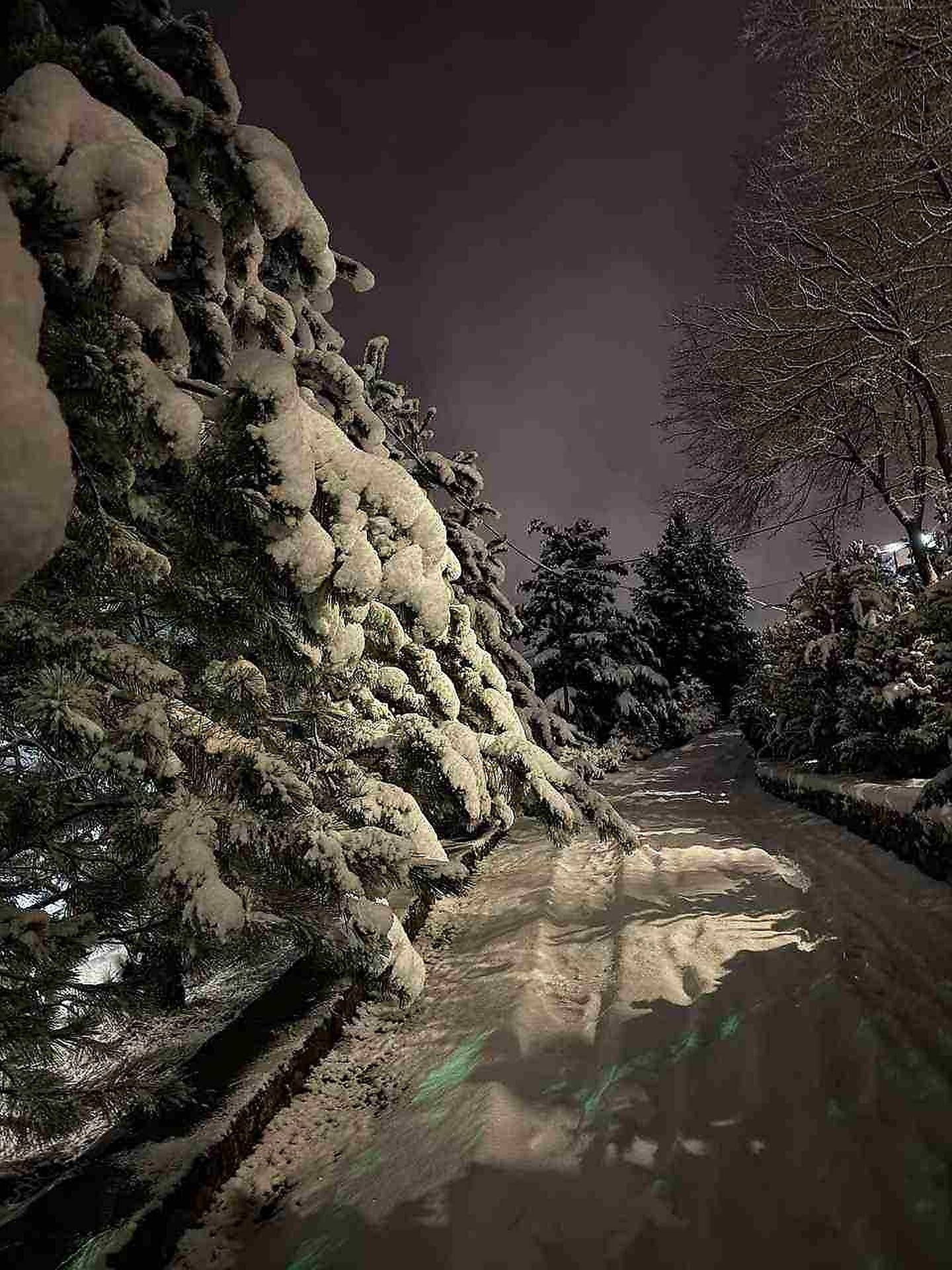 Территория 19