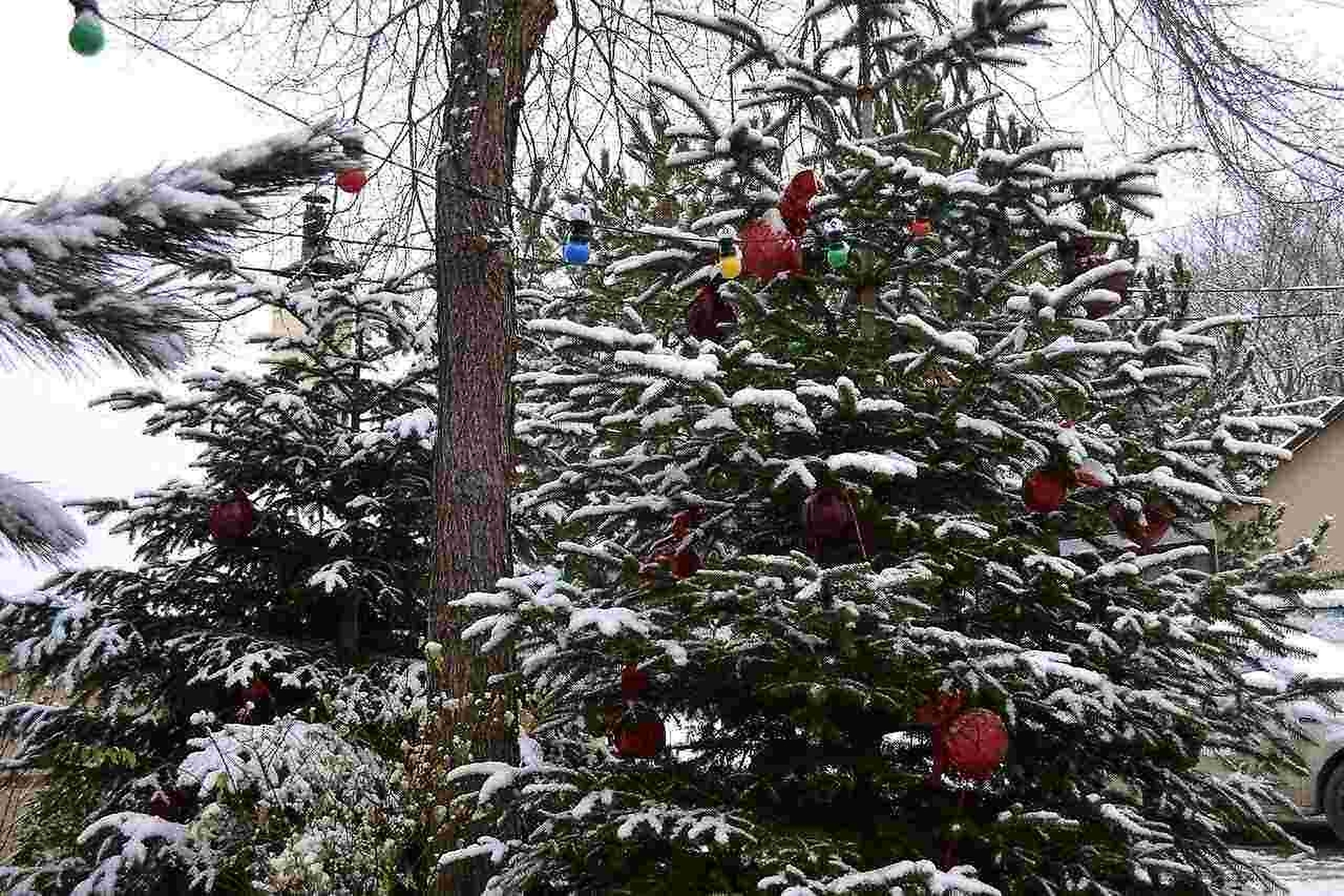 Территория 21