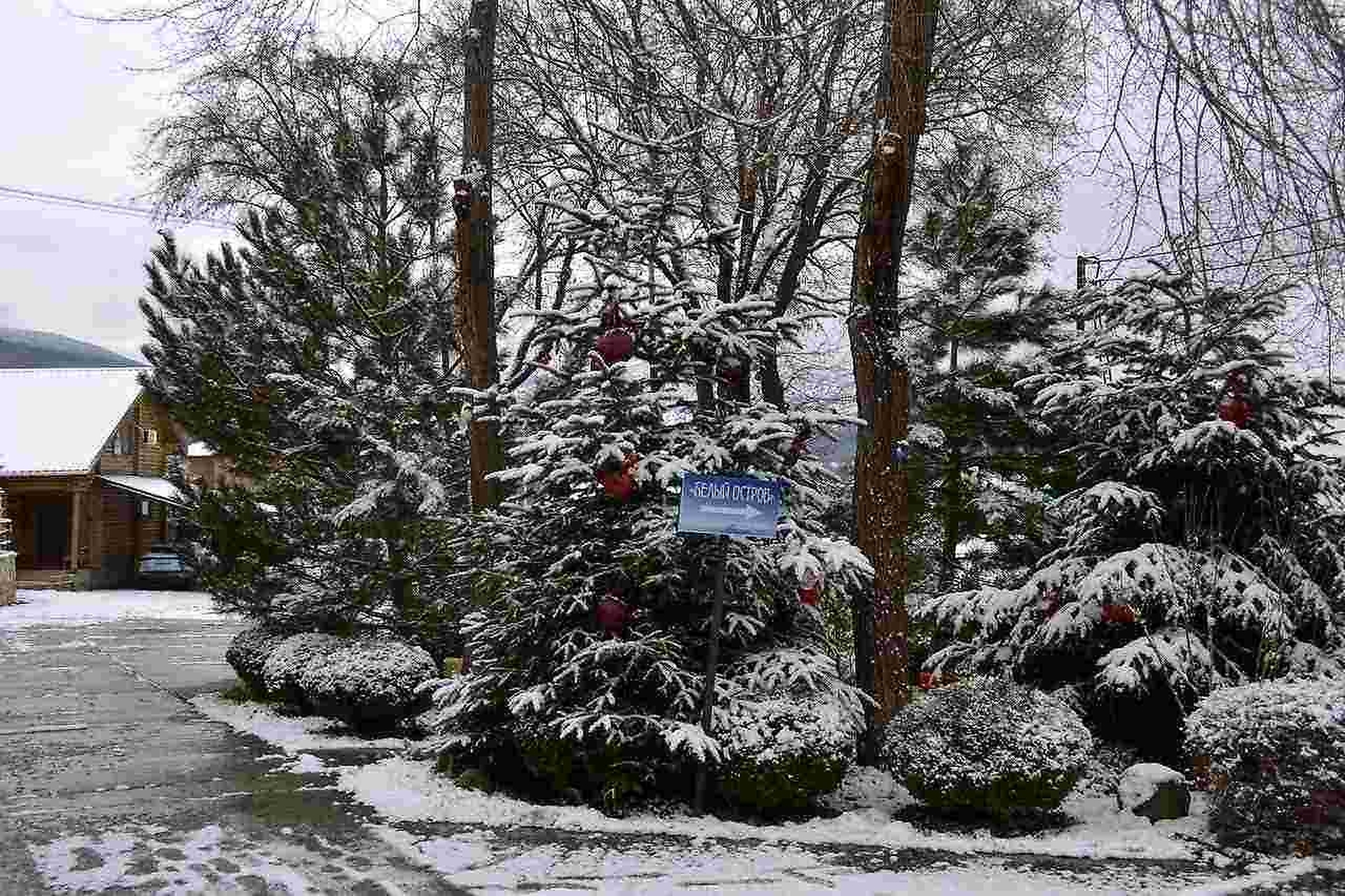 Территория 23